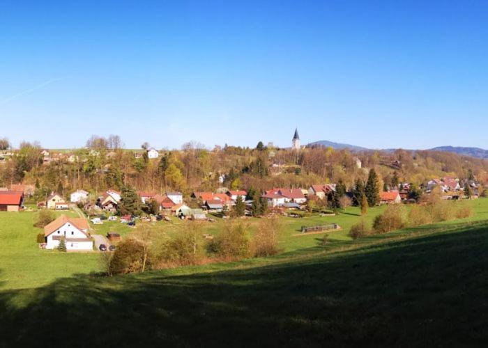 Unsere Ferienwohnung Stefan Im Riesengebirge! Dolni Lanov 外观 照片