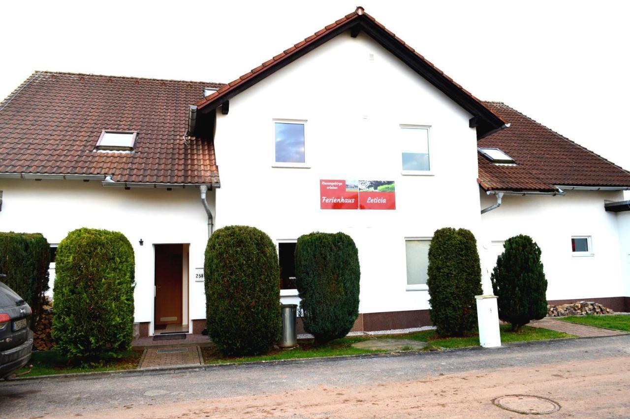 Unsere Ferienwohnung Stefan Im Riesengebirge! Dolni Lanov 外观 照片